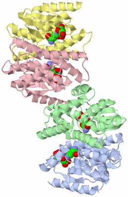 Image Biological Unit 3