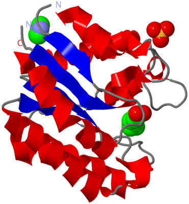 Image Asymmetric Unit