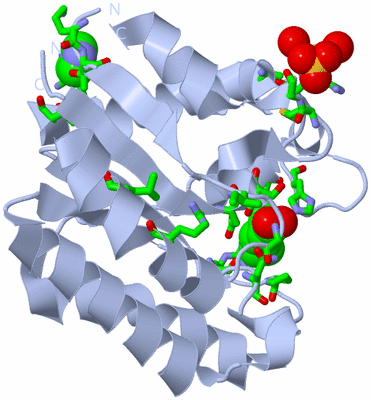 Image Biol. Unit 1 - sites
