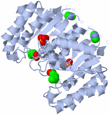 Image Biological Unit 2