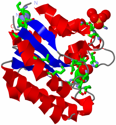 Image Asym. Unit - sites
