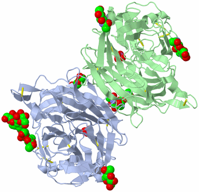 Image Asym./Biol. Unit