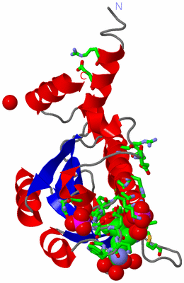 Image Asym. Unit - sites