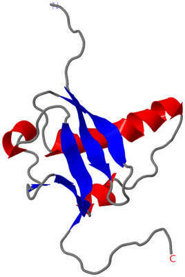 Image NMR Structure - model 1
