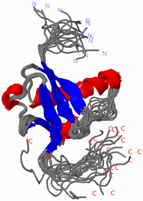 Image NMR Structure - all models