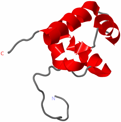 Image NMR Structure - model 1