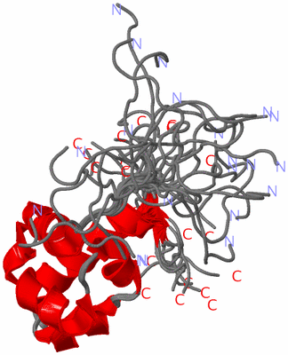 Image NMR Structure - all models