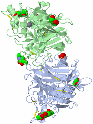 Image Asym./Biol. Unit