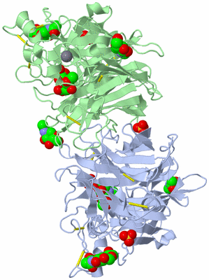 Image Biological Unit 1