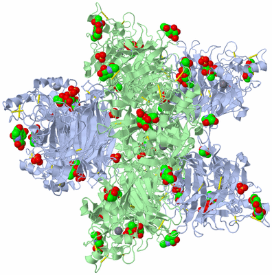 Image Biological Unit 2