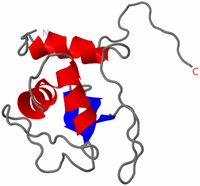 Image NMR Structure - model 1