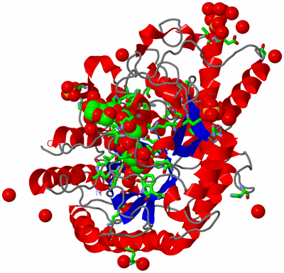 Image Asym./Biol. Unit - sites