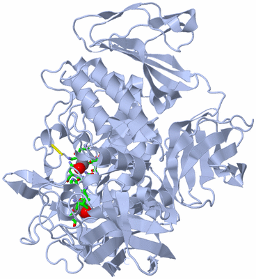 Image Biol. Unit 1 - sites