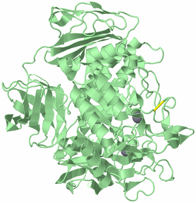 Image Biological Unit 2