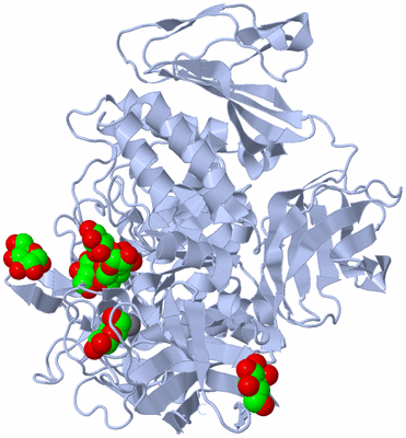 Image Biological Unit 1