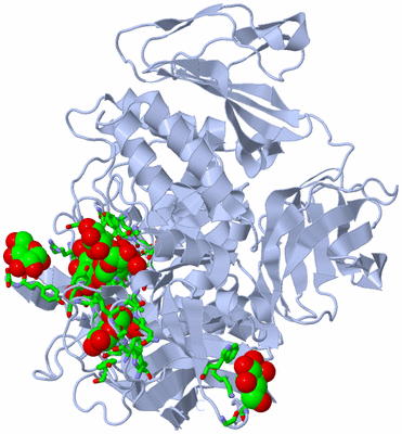 Image Biol. Unit 1 - sites