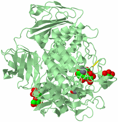 Image Biological Unit 2