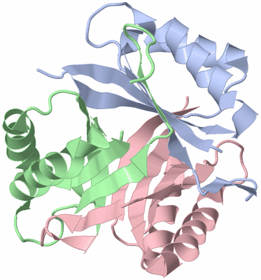 Image Asym./Biol. Unit