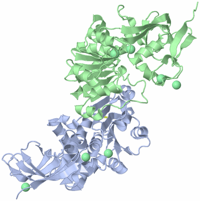 Image Asym./Biol. Unit