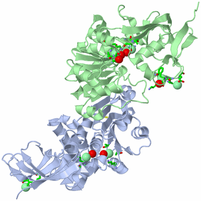 Image Asym./Biol. Unit - sites