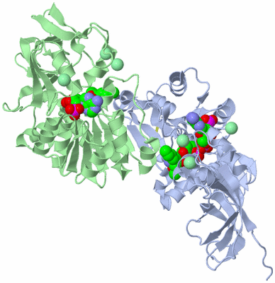 Image Asym./Biol. Unit