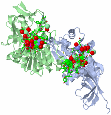 Image Asym./Biol. Unit - sites