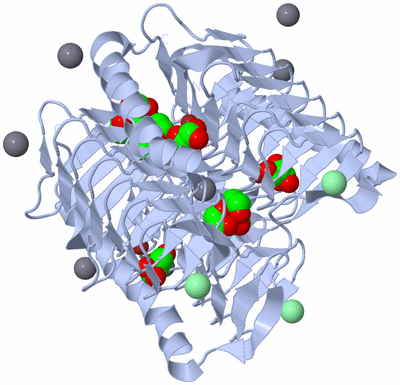 Image Biological Unit 1