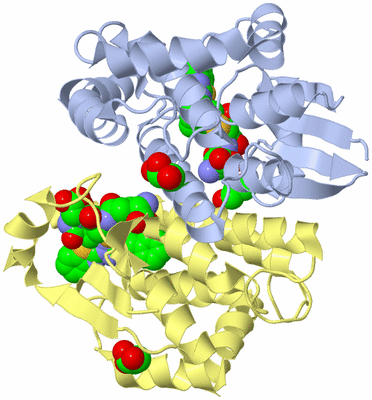 Image Biological Unit 1