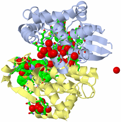 Image Biol. Unit 1 - sites