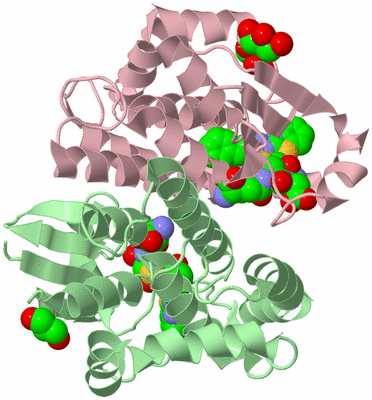 Image Biological Unit 2