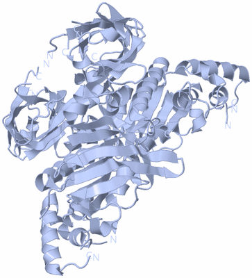 Image Biological Unit 1