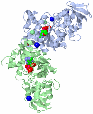 Image Asym./Biol. Unit