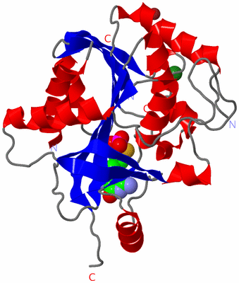 Image Asymmetric Unit