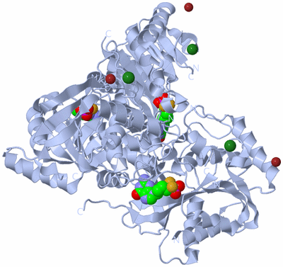 Image Biological Unit 1