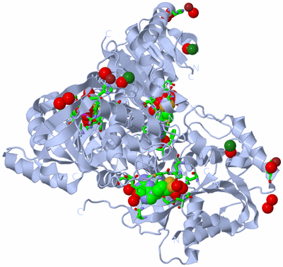 Image Biol. Unit 1 - sites