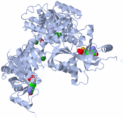 Image Biological Unit 2