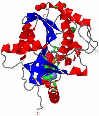 Image Asym. Unit - sites