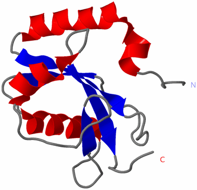 Image NMR Structure - model 1