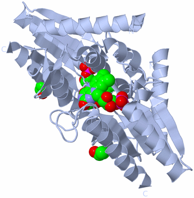 Image Biological Unit 1