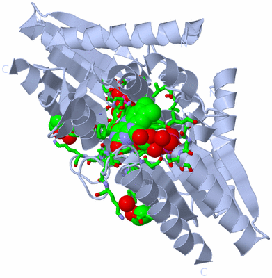 Image Biol. Unit 1 - sites