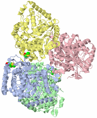 Image Asym./Biol. Unit