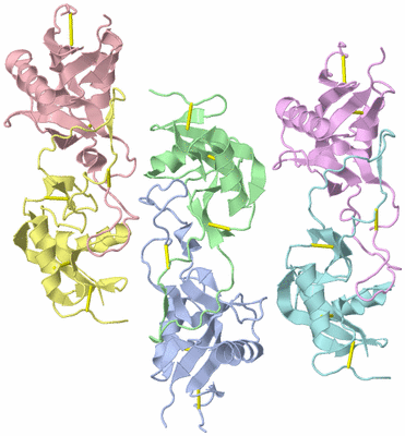 Image Asymmetric Unit