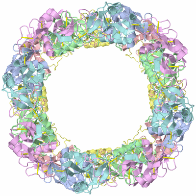 Image Biological Unit 1