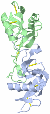 Image Biological Unit 3