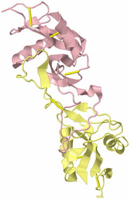 Image Biological Unit 4