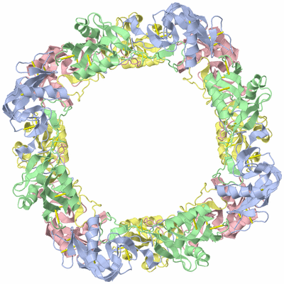 Image Biological Unit 5