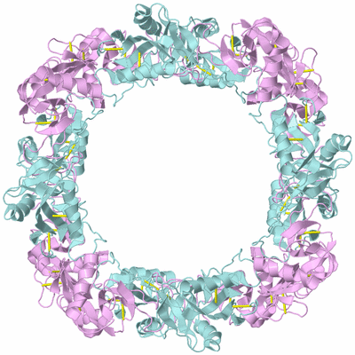 Image Biological Unit 6