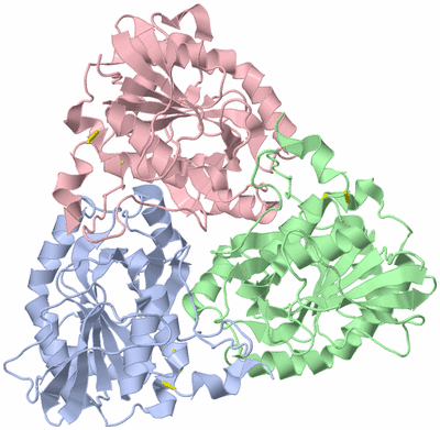 Image Asym./Biol. Unit