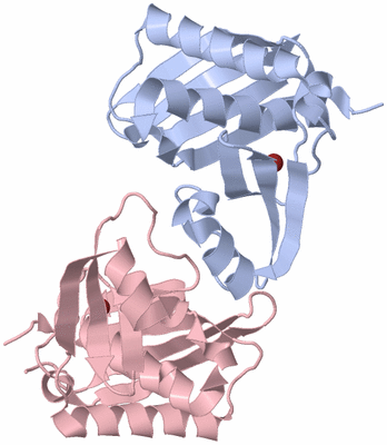 Image Biological Unit 4