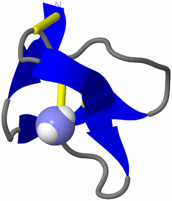 Image NMR Structure - model 1